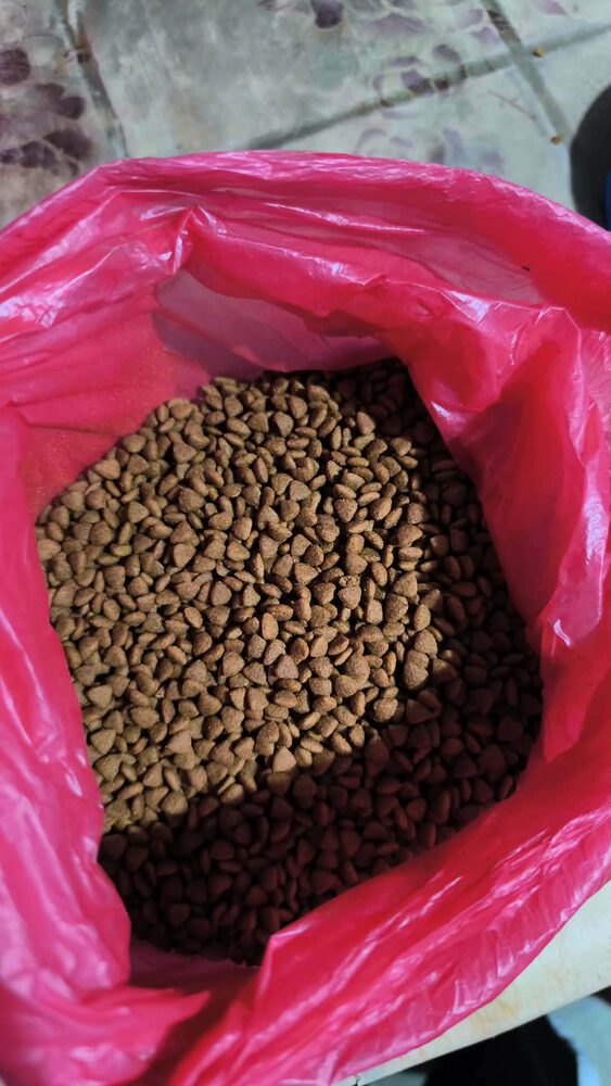 Adult Cat Dry Food – Tuna & Salmon (1.2kg)