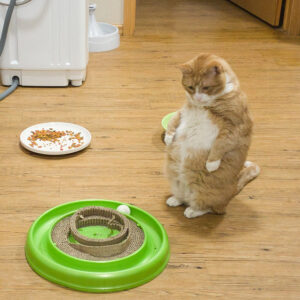 Cat Ball Tunnel Toy